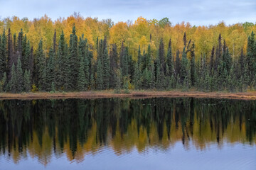 Scenery along the Alaska Railroad from Anchorage to Denali, Alaska