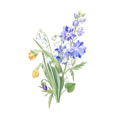 Fototapeta na wymiar Bouquet of the spring flowers, watercolor illustration isolated on white. Fresh daffodils buds, larkspur, lily of the valley and violet - elegant drawing for cards, stickers, mugs, garden projects