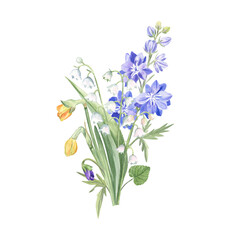 Fototapeta premium Bouquet of the spring flowers, watercolor illustration isolated on white. Fresh daffodils buds, larkspur, lily of the valley and violet - elegant drawing for cards, stickers, mugs, garden projects