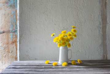 dandelions in white jug on background white wall