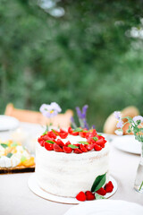 Cake on banquet table in garden