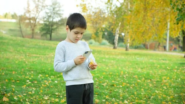 Little boy taking a smartphone photo of an autumn birch leaf in a city park.