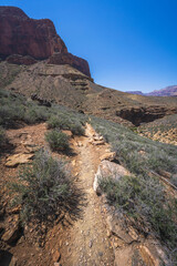 hiking the tonto trail in the grand canyon national park, arizona, usa