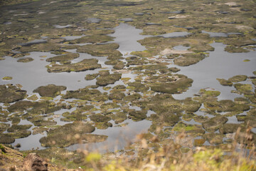 swamp lake at the volcano on the easter island