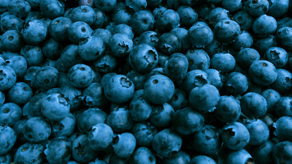 Fresh blueberry background. Texture blueberry berries close up.