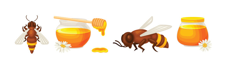 Honey Product with Bee Insect and Glass Jar Vector Set
