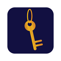 keys, key chains, house keys, keys with padlocks