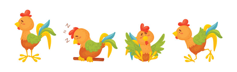 Funny Rooster or Cockerel Character in Different Pose Vector Set