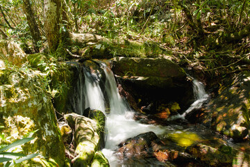 Chapada dos Veadeiros