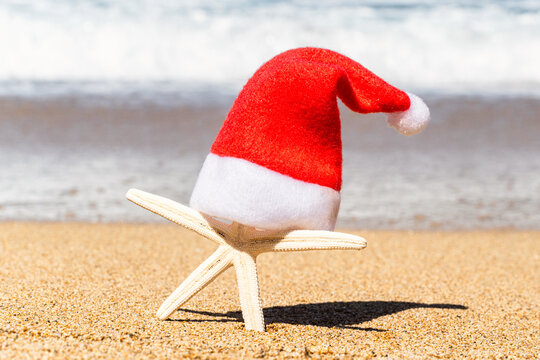 Christmas santa claus hat on starfish tourist on sand beach with sea water background. New year vacation concept