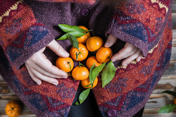 Woman in a huge winter sweater sits on the wooden rustic floor with handful of mandarins in her...