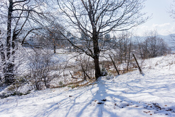 Fototapeta na wymiar Snowy field and trees in winter