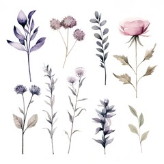 watercolor flowers, a set of illustrations in handmade watercolor style on a white background, generative ai	