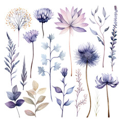 watercolor flowers, a set of illustrations in handmade watercolor style on a white background, generative ai	