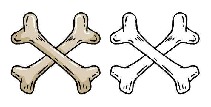 Set of bones. Part of the human skeleton. Vector Cartoon and flat illustration. White dog Toy