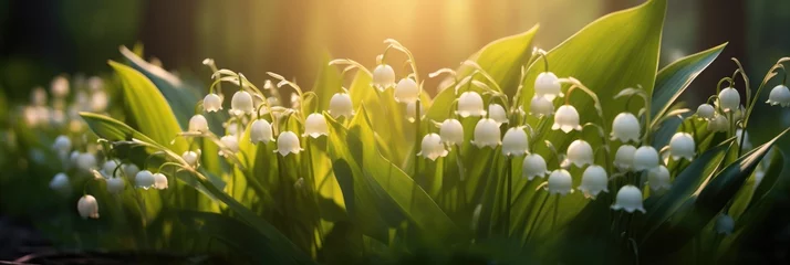 Gordijnen Lily of the valley flowers in spring © Ivy