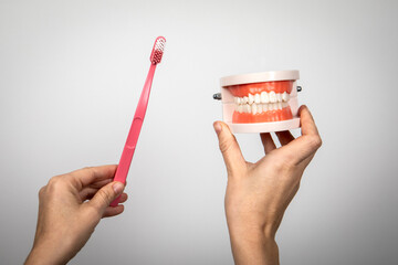 Dental teeth and gums pattern with pink tooth brush in hands
