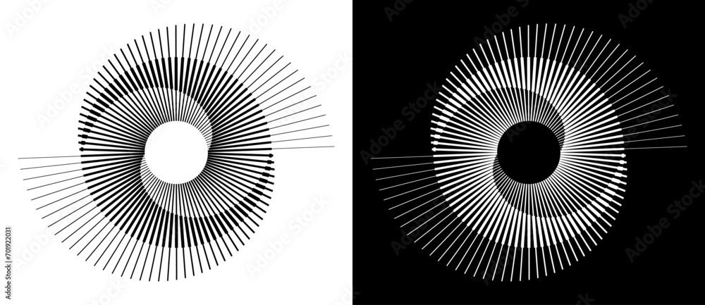 Poster Abstract background with lines in circle. Art design spiral as logo or icon. A black figure on a white background and an equally white figure on the black side.