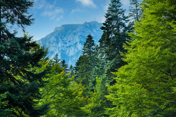 Bucegi mountain Romania Crucea Caraiman 