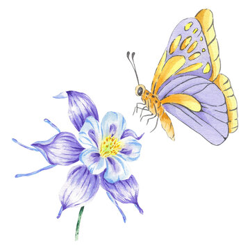 Watercolor Purple Butterfly And Butterfly Isolated On White Background Hand Drawn. Yellow Illustration Clipart In Botanical Style For Design Logo, Wedding Invitation, Postcard, Poster, Card