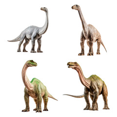 Set of isolated brontosaurus