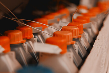 Set Of Sealed Plastic Bottles With Fuel Oil Samples For The Laboratory Quality Test
