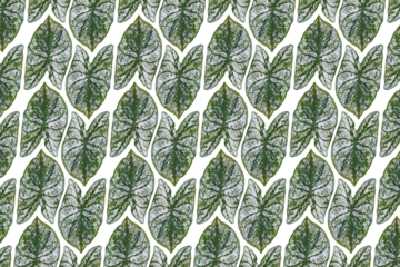 Composição de padrão com folha grande em formato de coração, de duas cores verde e branca, png com fundo transparente.