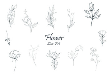 Hand drawn botanical floral flowers, branches, leaves, plants, herbs. Label, logo, branding business identity, wedding invitation, wreath, frame. Vector illustration