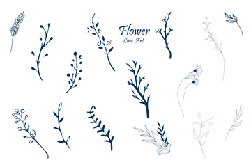 Hand drawn botanical floral flowers, branches, leaves, plants, herbs. Label, logo, branding business identity, wedding invitation, wreath, frame. Vector illustration