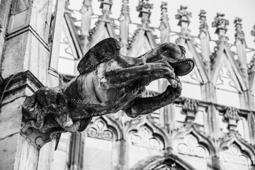 Milan, Lombardy, Italy: Medieval gothic gargoyle statue on the roof top of the cathedral of Milan...