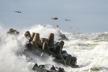 High waves crash against the concrete tetrapods of the harbor breakwater with white splashes