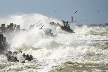 High waves crash against the concrete tetrapods of the harbor breakwater with white splashes