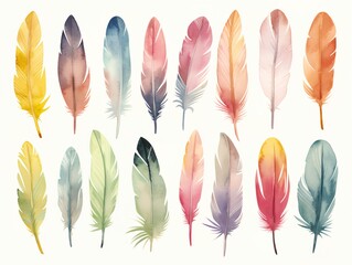 a colorful feathers on a white background - obrazy, fototapety, plakaty