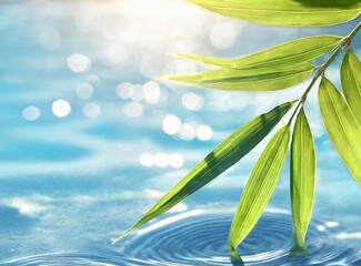 Fototapeta premium Spa background banner with green bamboo leaf on white transparent water wave in sunlight, concept with copy space for travel, cosmetics and beauty care