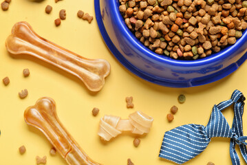 Composition with dog food and necktie on color background, closeup