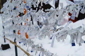 日本の神社　初詣のおみくじ