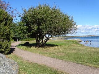 Hönö promenade near Gothenburg