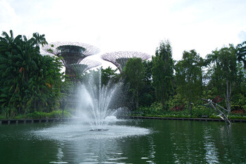 super trees in singapore