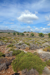 Fototapeta na wymiar Landschaft bei Charaki auf Rhodos