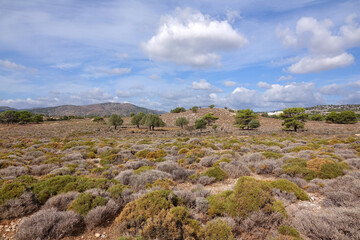 Fototapeta na wymiar Landschaft bei Charaki auf Rhodos