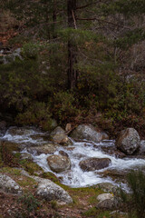 river with swirling water and rocks in the forest, beautiful scenery with rushing water in the river