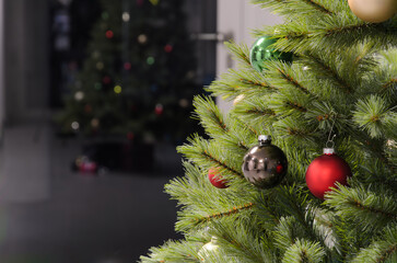 Christmas tree reflected in the night window.