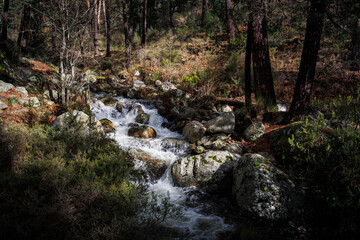 river with swirling water and rocks in the forest, beautiful scenery with rushing water in the river