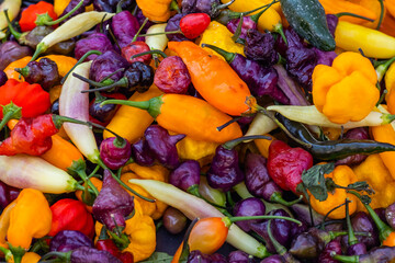 Vibrant Collection of Colorful Peppers in Assorted Container