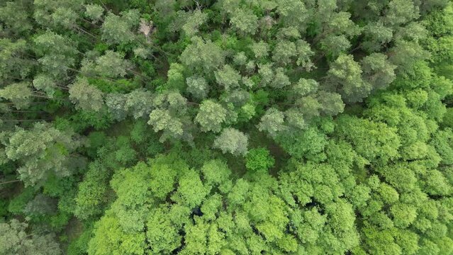 Luftaufnahme Landschaft Mecklenburgische Seenplatte, Deutschland