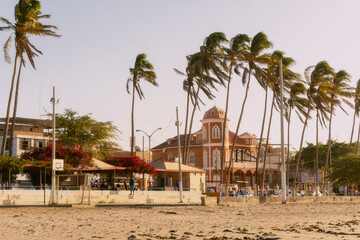 Fototapeta premium beach with trees and umbrellas