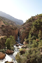 Caminito del Rey