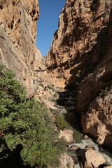 Caminito del Rey