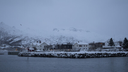 Fototapeta premium Twilight Over Modern Waterfront Residences in Lofoten, Norway