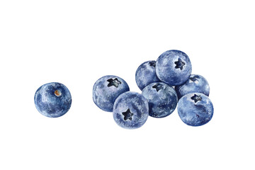 Watercolor illustration of a pile of blueberries